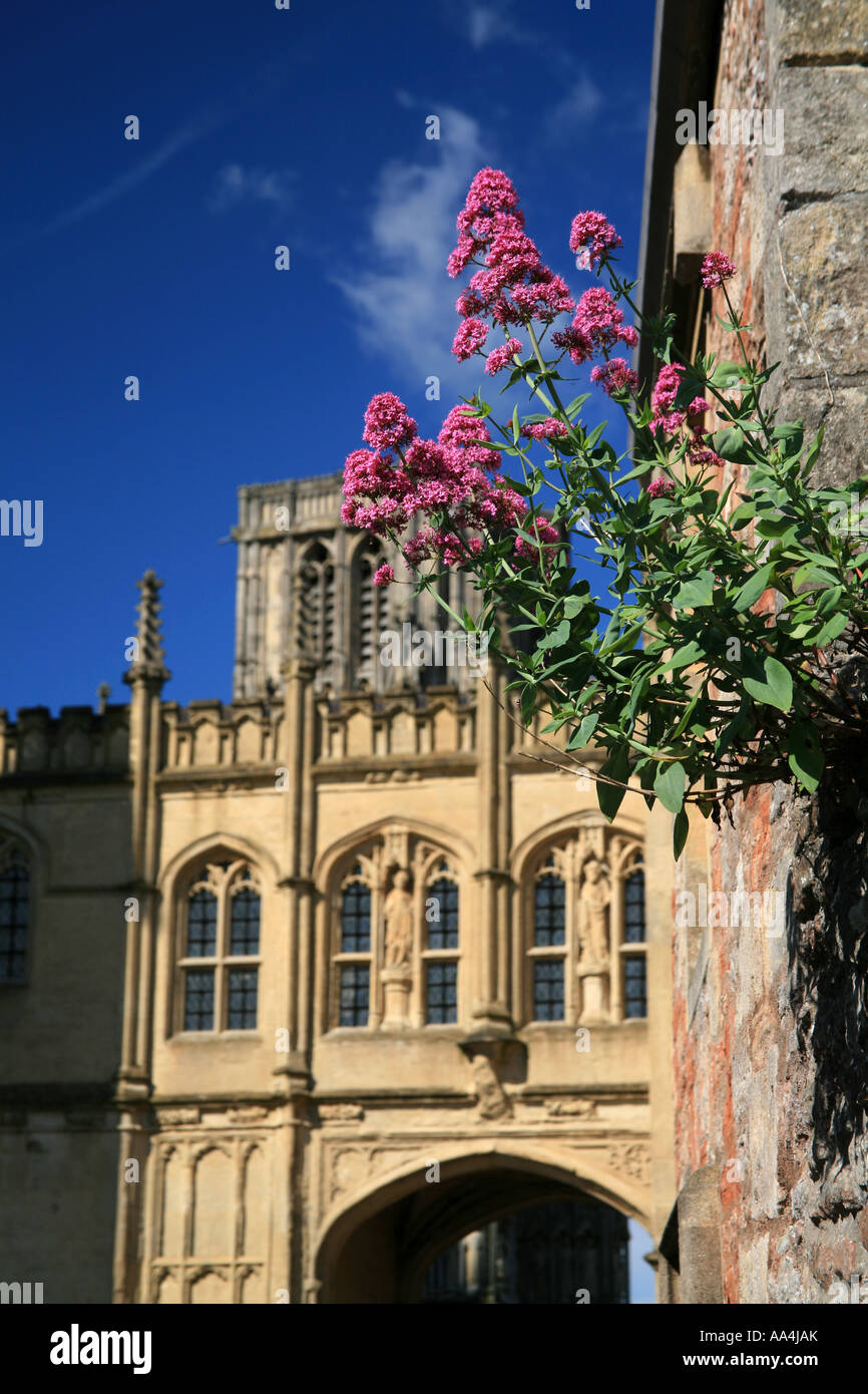 St Andrew Street in wells somerset England Regno Unito Foto Stock