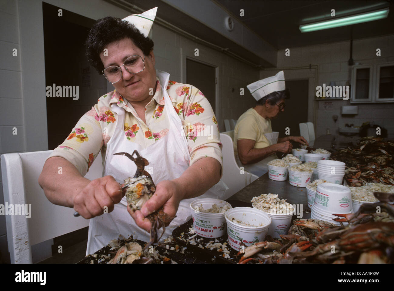 Stati Uniti Maryland Cambridge Nancy Robbins picks Chesapeake Bay Blue Crab a mano in casa di imballaggio Foto Stock