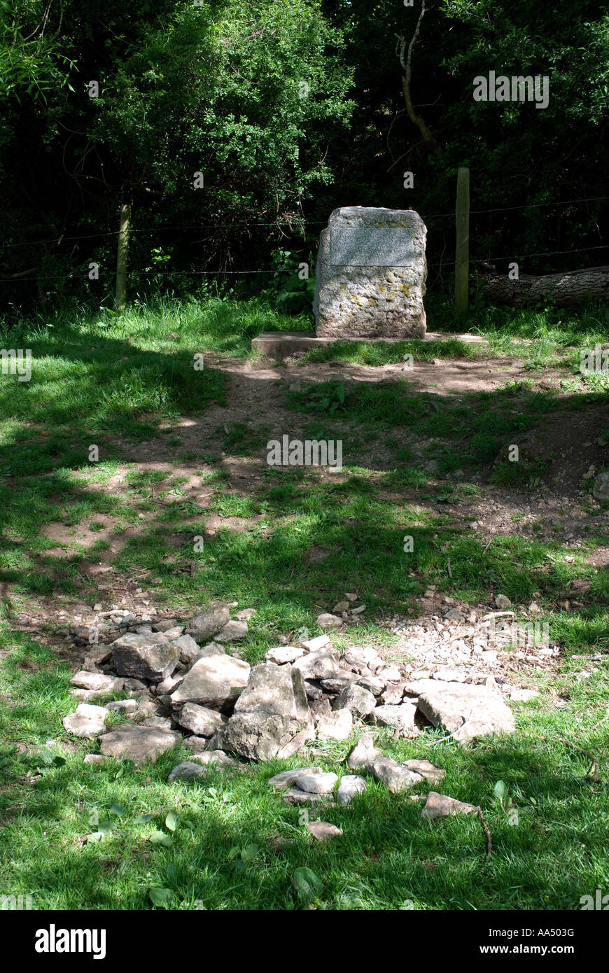 Pietre fonte di marcatura del fiume Tamigi, nel Gloucestershire, England, Regno Unito Foto Stock