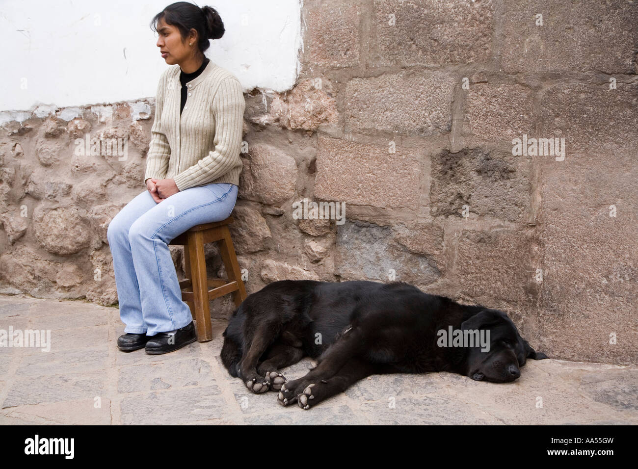 Cane dormire in strada a Cuzco, Perù Foto Stock