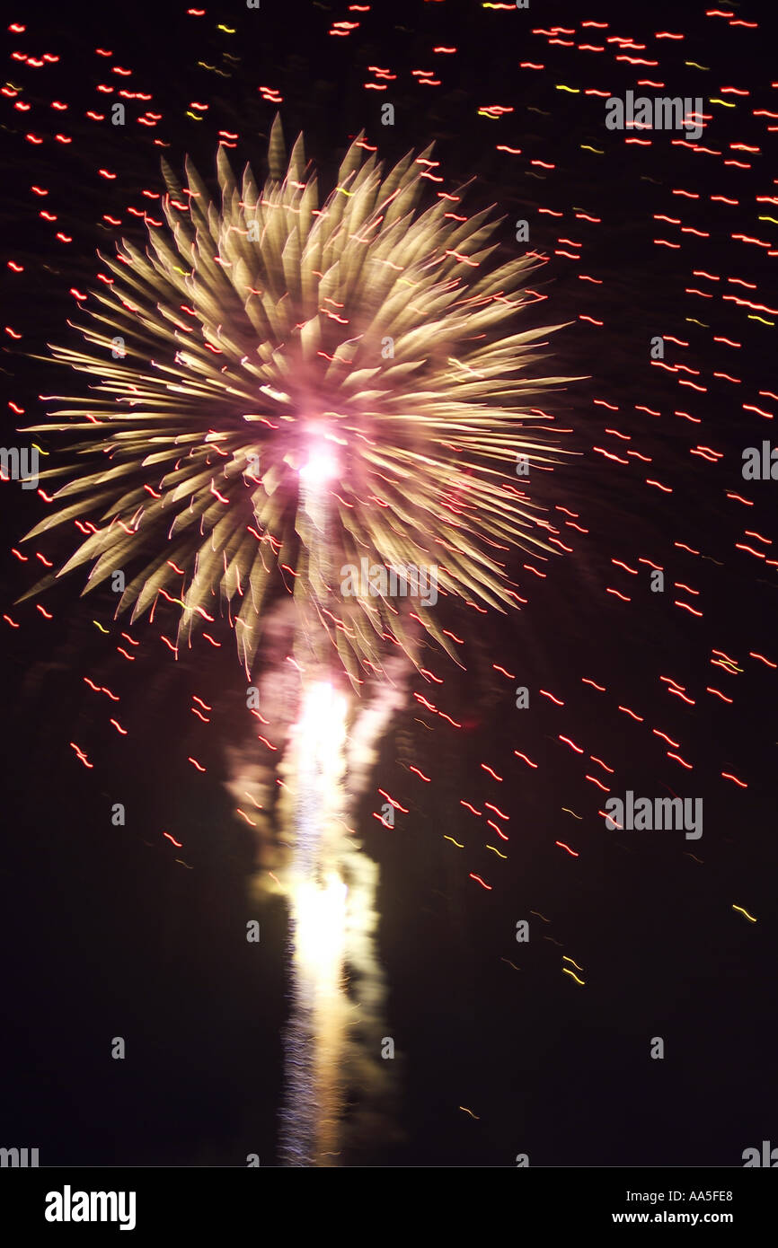 Fuochi d'artificio illuminano il cielo mentre si celebra il giorno della Bastiglia, Marsiglia, Francia. Foto Stock