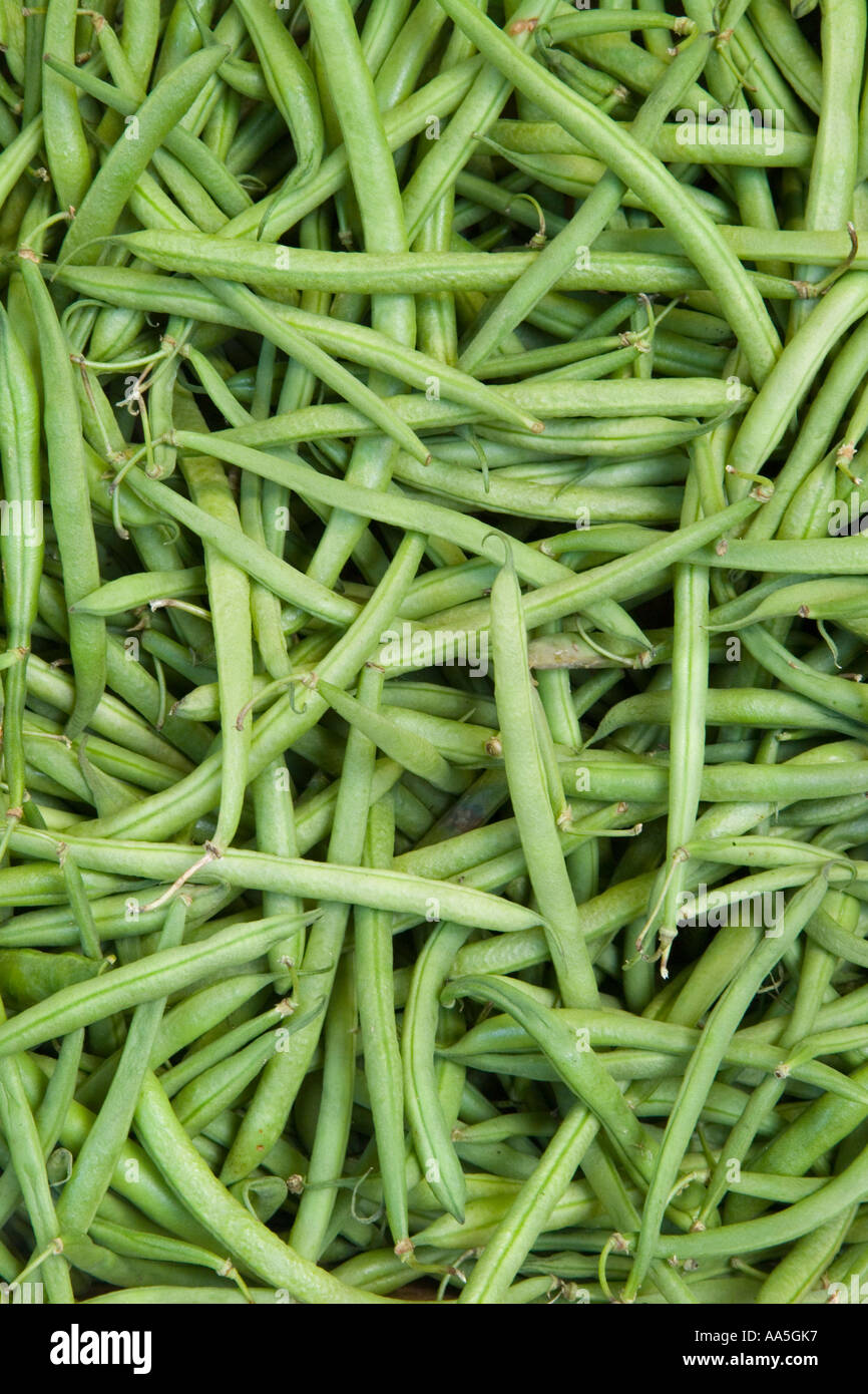 Fagioli verdi. Comune o di fagioli verdi (Phaseolus vulgaris) Foto Stock