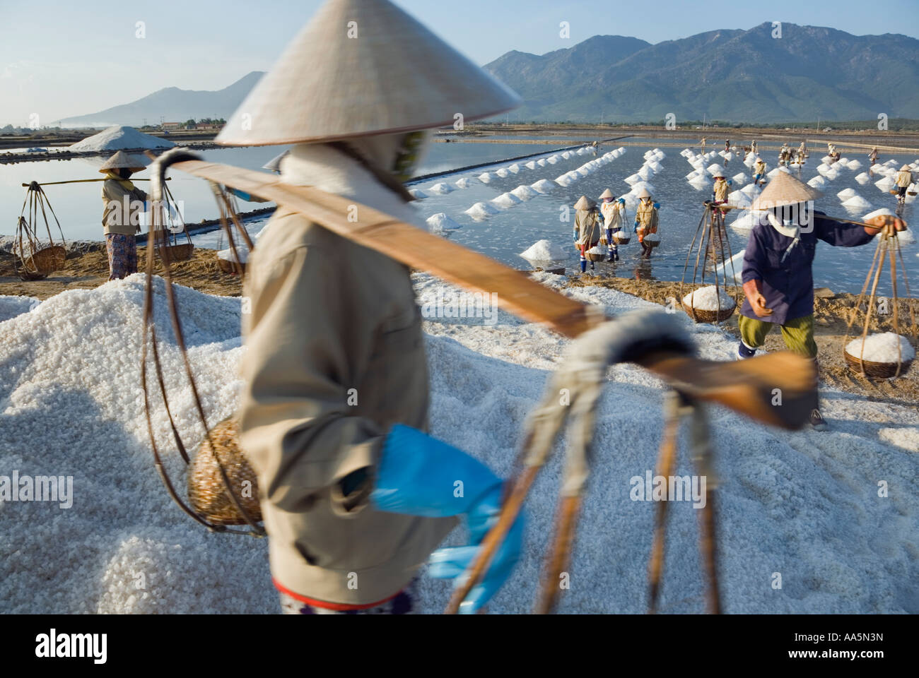 Cam Rahn, Vietnam. Le miniere di sale Foto Stock