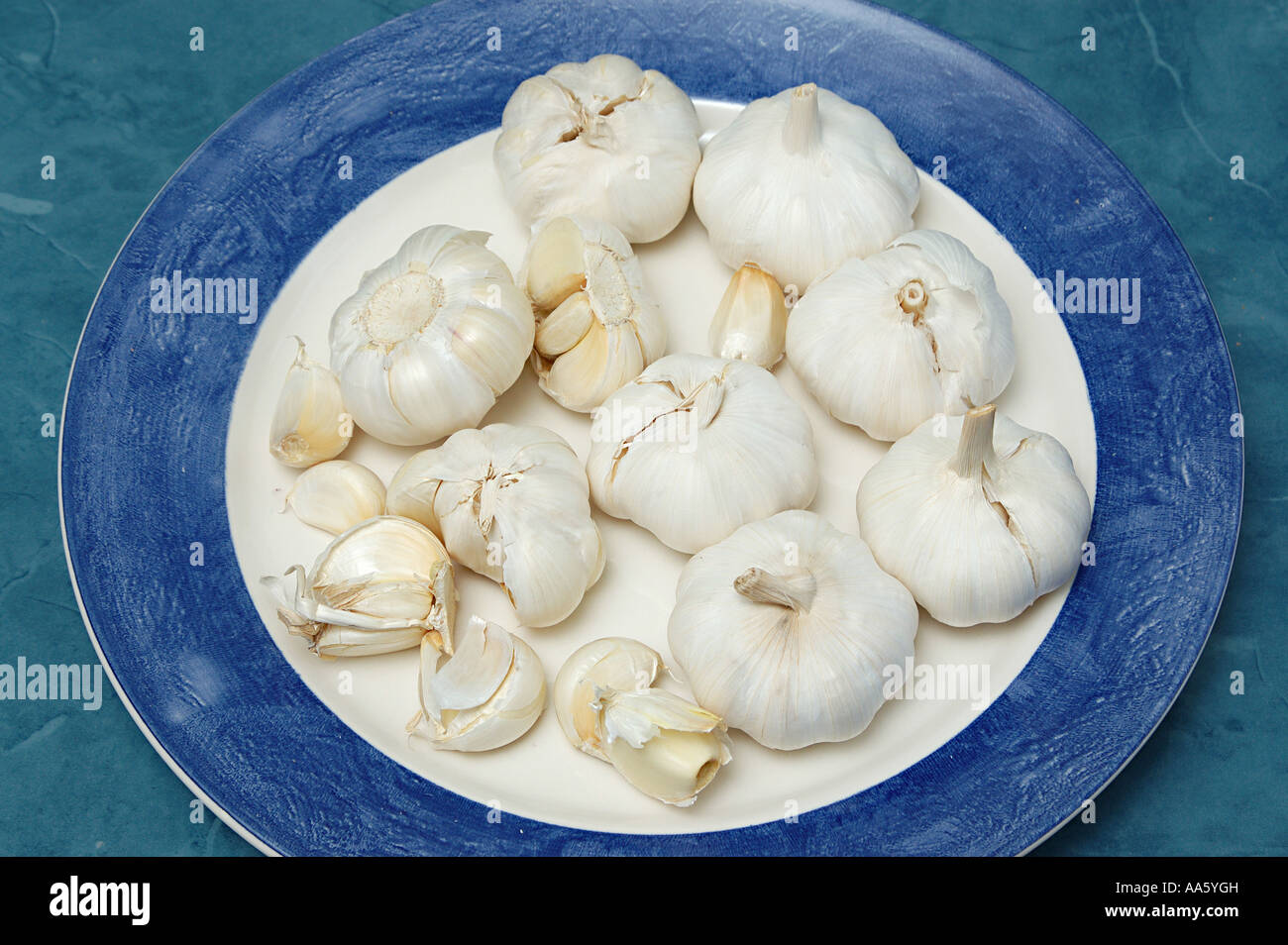 ANG103968 spezie molti aglio bulbo mantenuto sulla piastra bianca Foto Stock