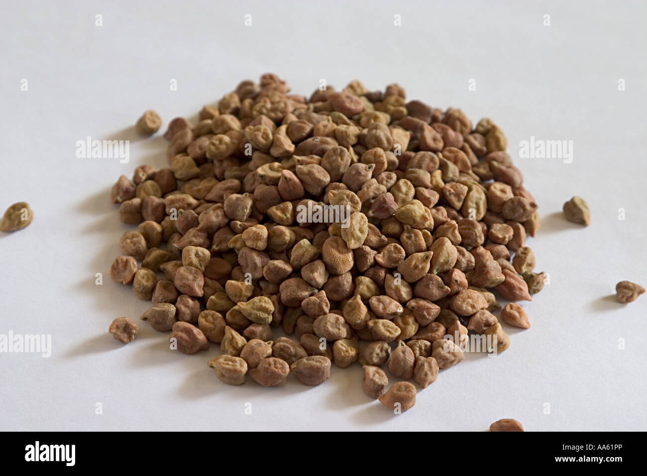 Piselli Kala Channa Cickpeas nero Foto Stock