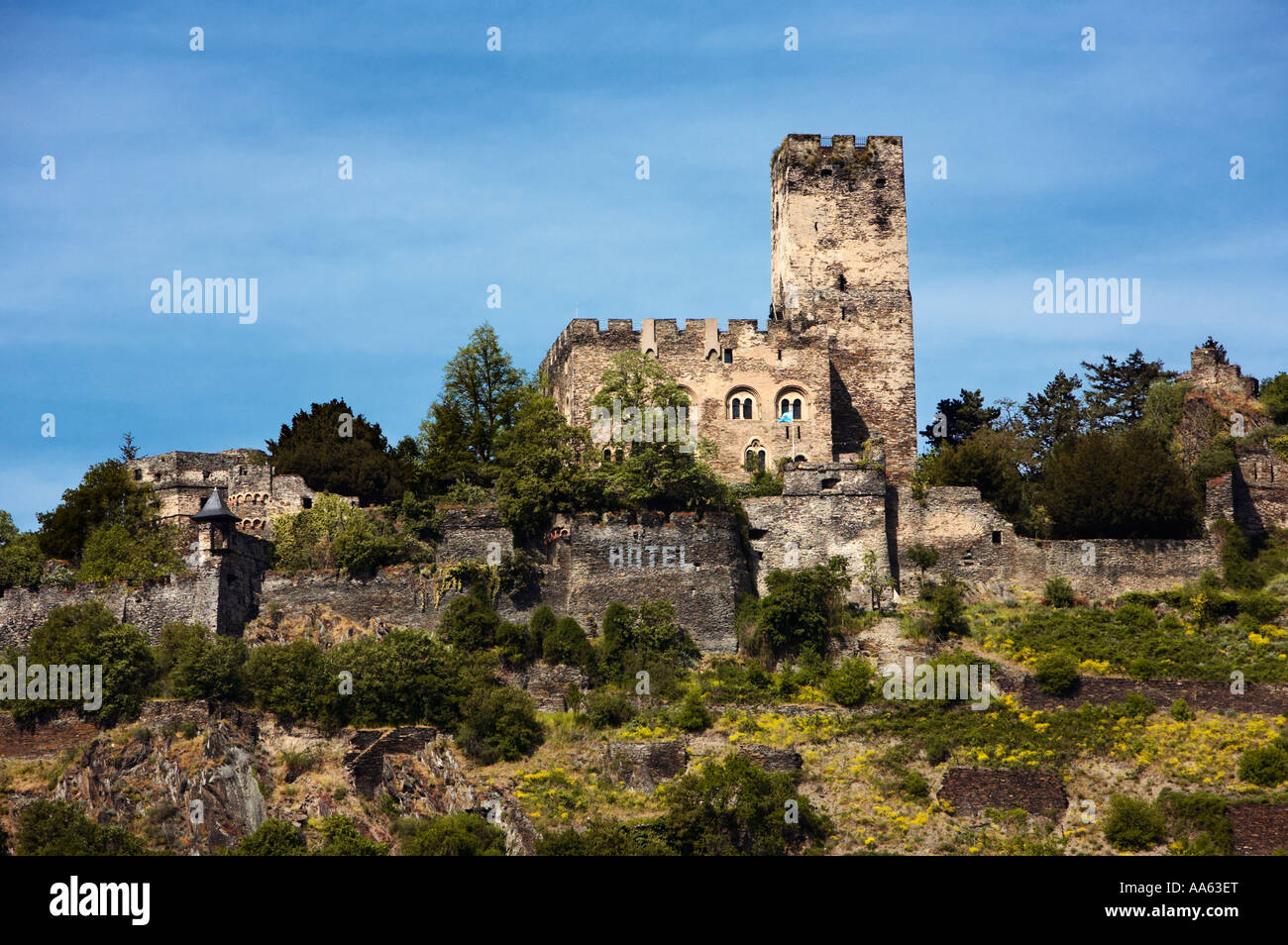 Castello Gutenfels al di sopra del Reno vicino a Kaub, Renania, Germania, Europa Foto Stock