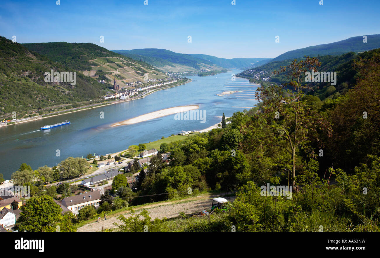 Il fiume Reno e la Valle del Reno in Renania, Germania, Europa Foto Stock