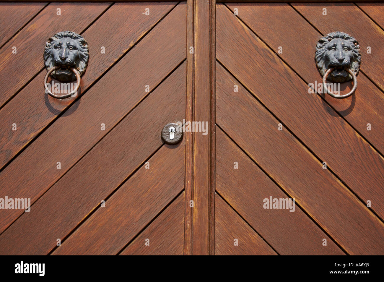 Porta di legno con i lions di ferro Foto Stock