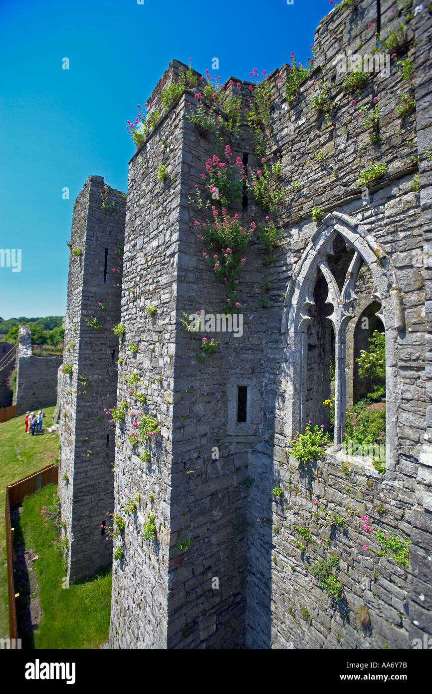 Oystermouth Castle, Mumbles, Swansea, Wales, Regno Unito Foto Stock