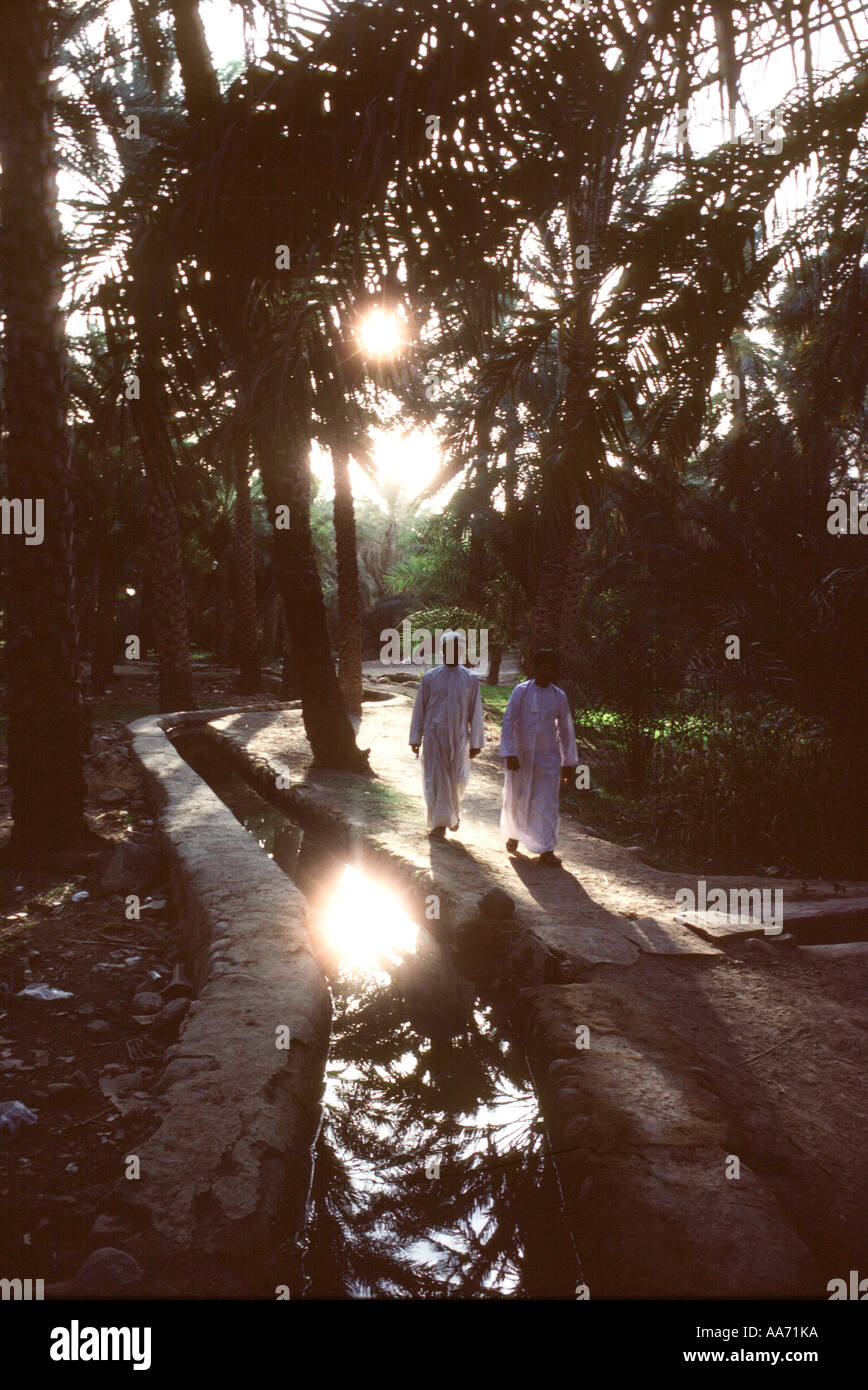 Oman villaggio di Izki uomini camminare oasi creata da acqua che fluisce dalle montagne attraverso un falaj antico sistema di irrigazione Foto Stock