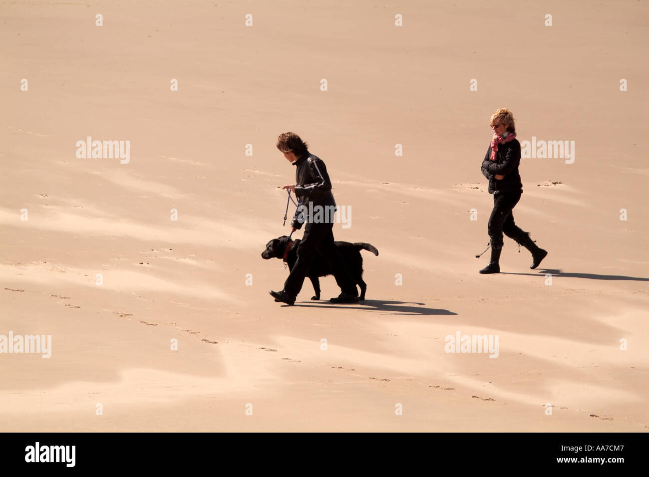 Paio di esercitare il loro cane sulla spiaggia Francia del nord Europa. Cane scuotipaglia Foto Stock