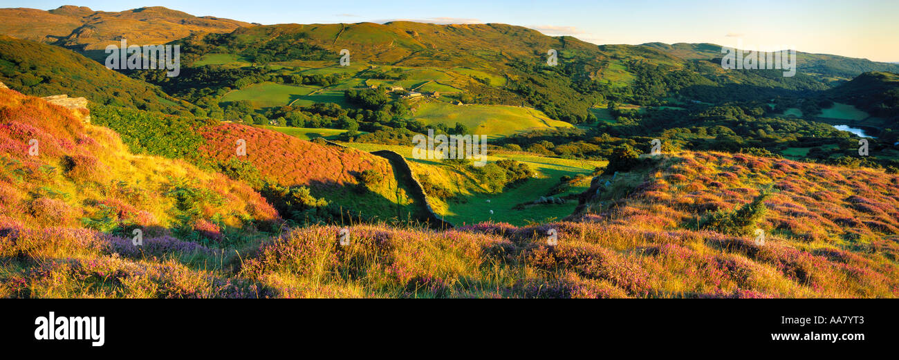 Caerwych nr Harlech Snowdonia Wales UK Foto Stock