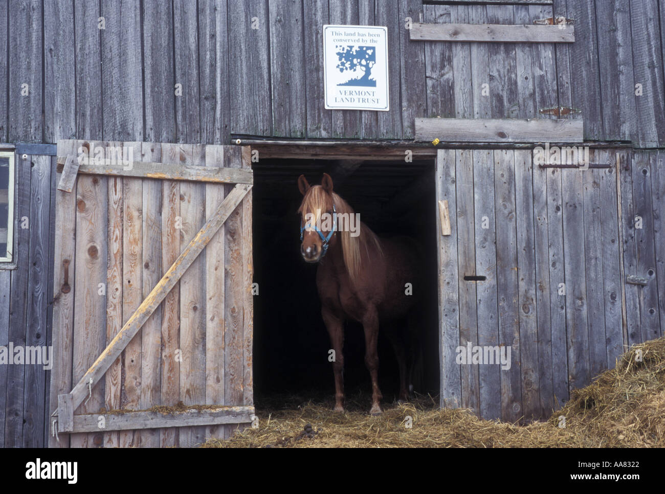 AJ4847, VT, Vermont, Cabot Foto Stock