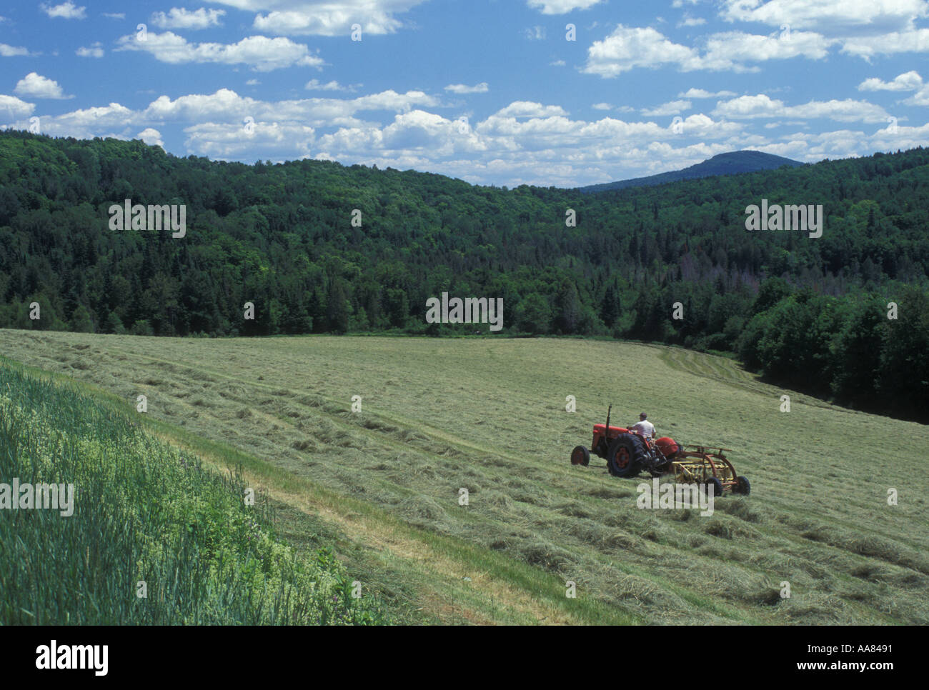 AJ5218, Vermont, VT Foto Stock