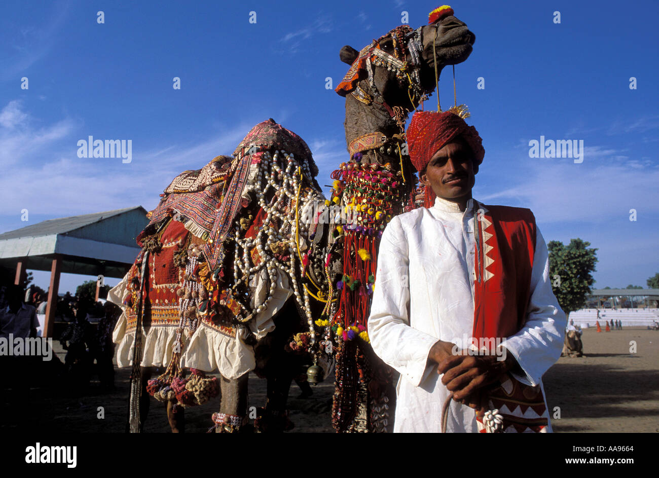 Uomo di Rajasthani sorge dalla decorazione del cammello di Pushkar fiera del cammello nel deserto di Thar Rajasthan in India Foto Stock