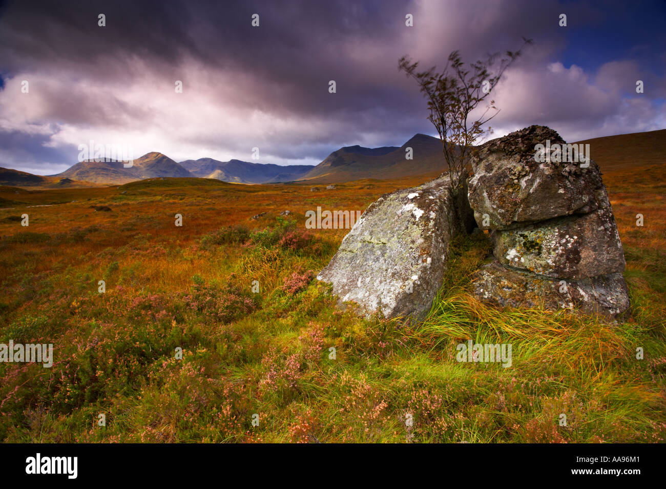 Una scena di Rannoch Moor nelle Highlands scozzesi Foto Stock