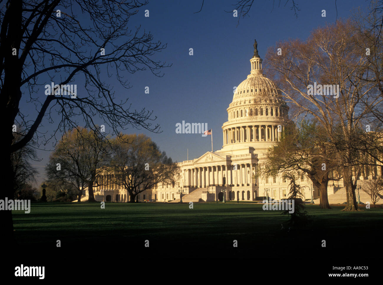 AJ11179, United States Capitol, Washington DC, il Distretto di Columbia Foto Stock