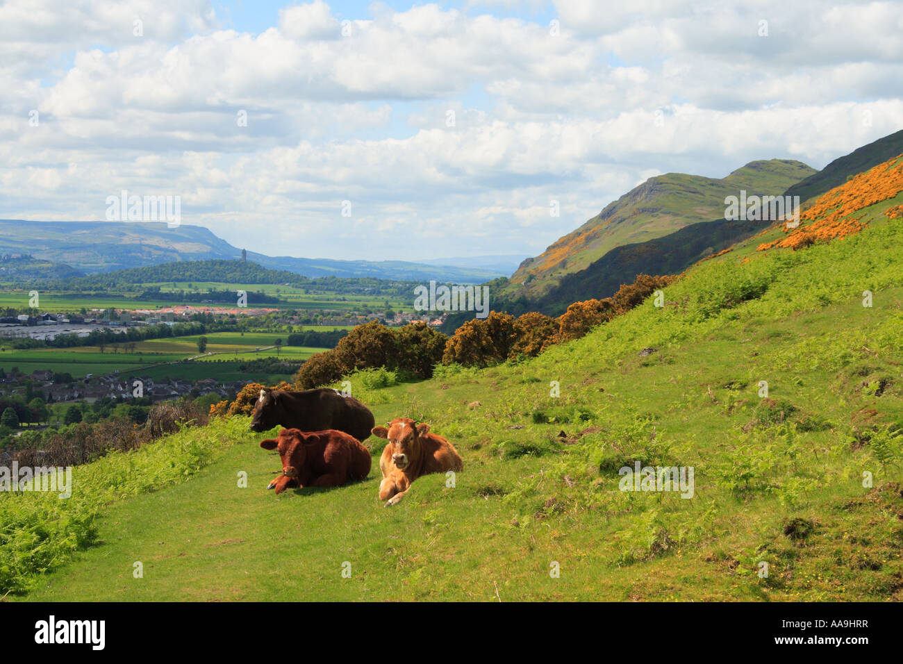 Dumyat hill e il Wallace Monument in Forth Valley Scozia Scotland Foto Stock