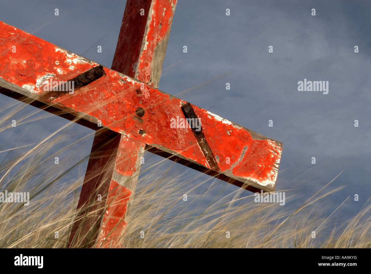 Resti della vita sulla boa Alnmouth beach, Northumberland, Regno Unito Foto Stock