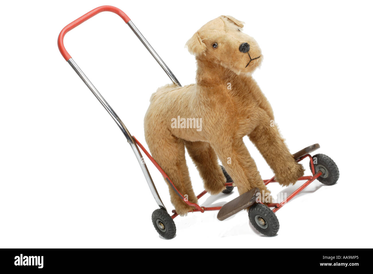 Childs aiuti a piedi cane su ruote Foto Stock
