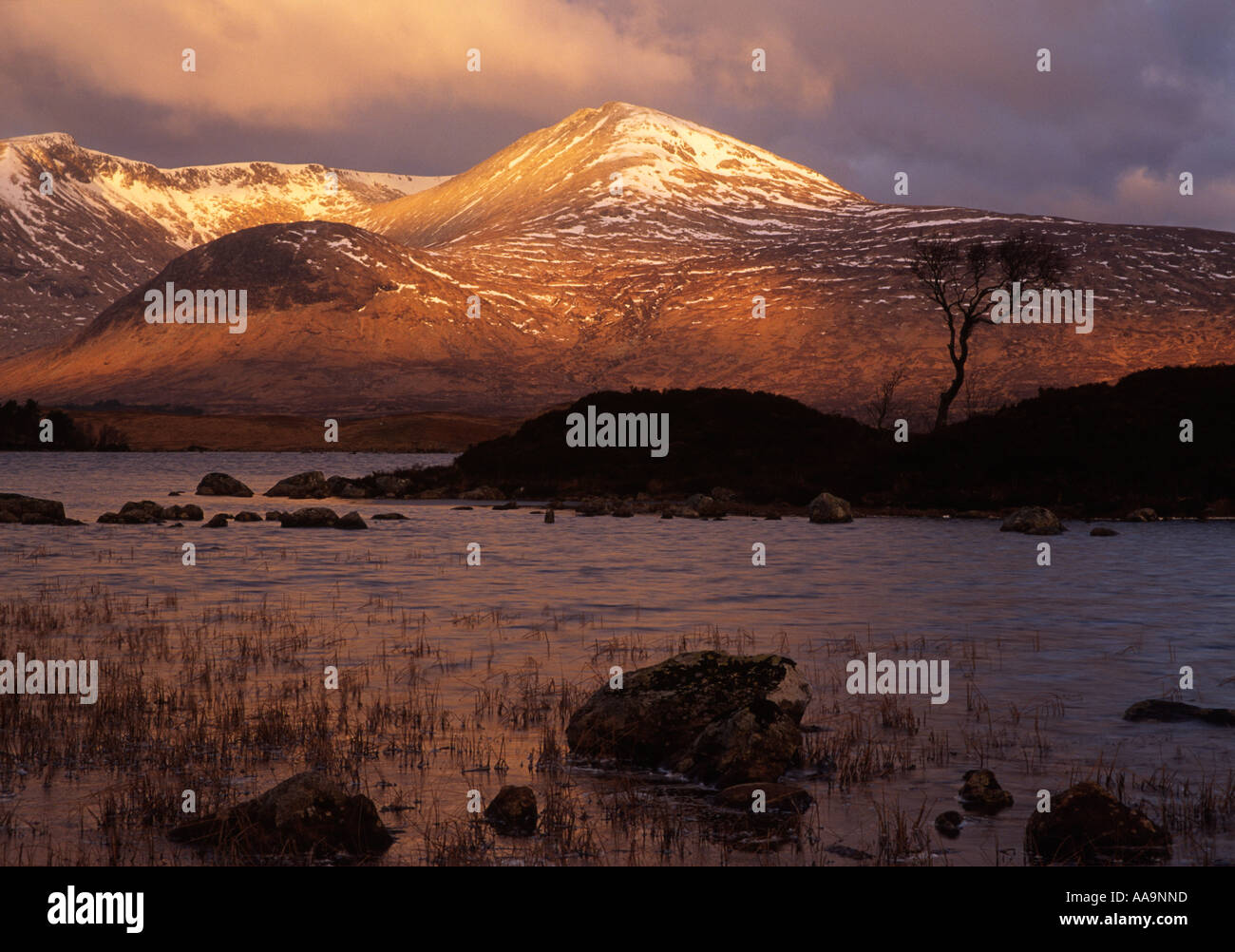 Lochan na hAchalise e il Blackmount, Rannoch, Scozia Foto Stock