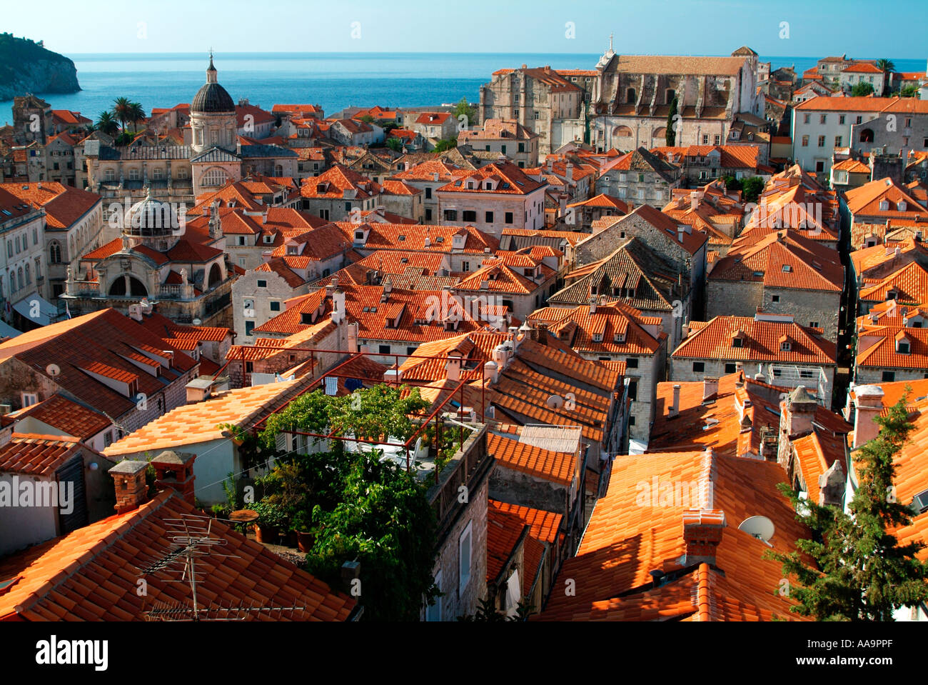 Rosso sui tetti della città di Dubrovnik Croazia Foto Stock