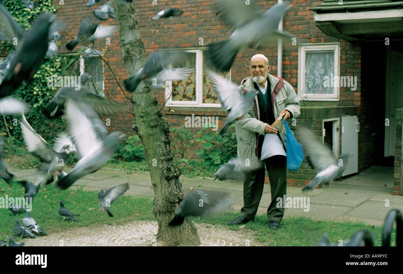 Uomo anziano alimentando i piccioni a Whitechapel, East London Foto Stock