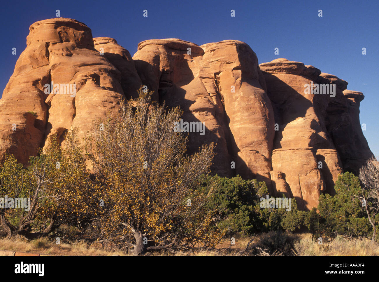 AJ12363, Colorado National Monument, CO, Colorado Foto Stock