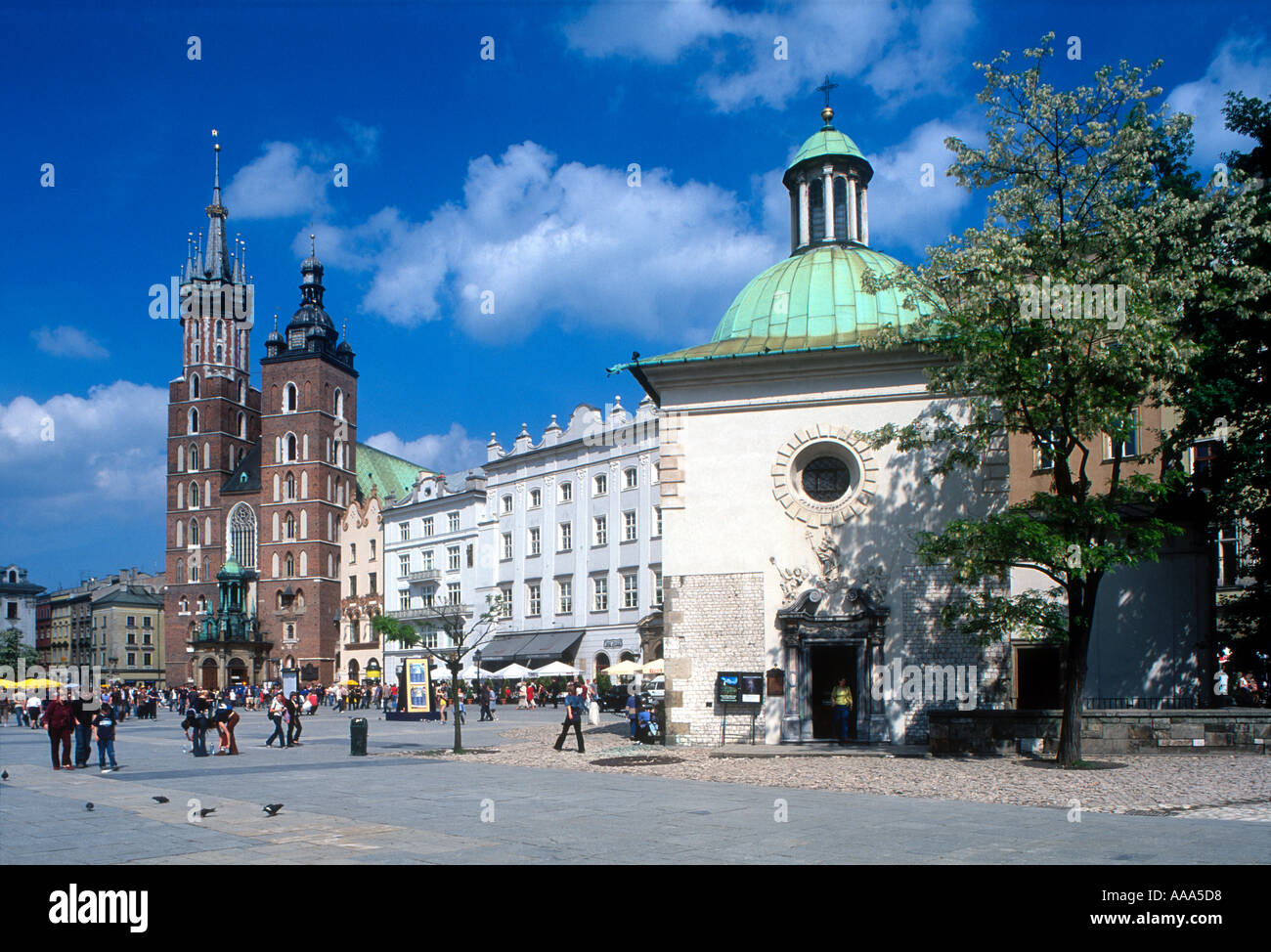 Cracovia Cracovia Polonia vista di Rynek Glowny piazza medievale St Marys Chiesa e St Adalberts Chiesa Foto Stock