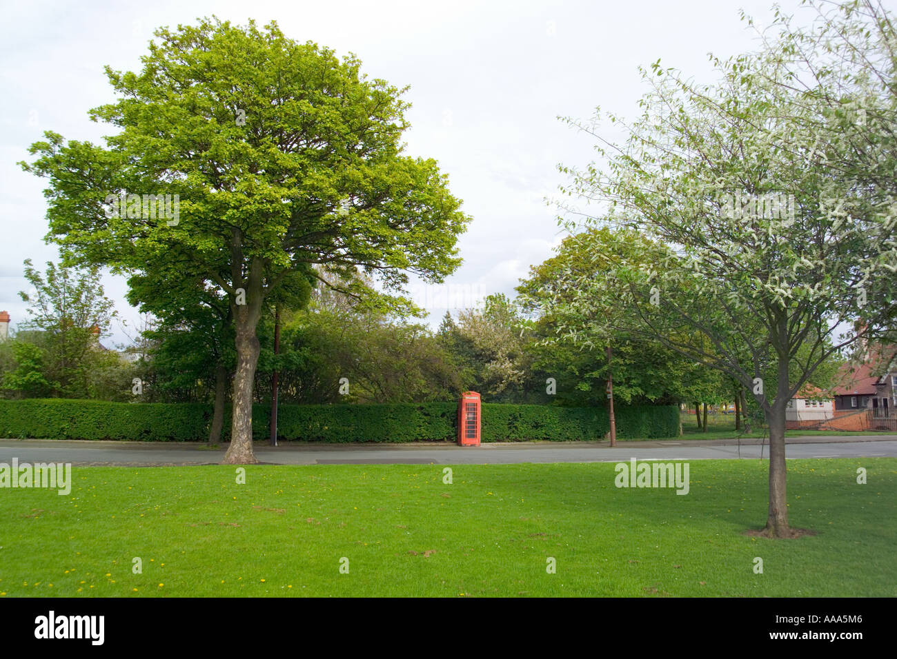 Parco albero di erba e K2 telefono rosso scatola a Port Sunlight,Wirral,Cheshire, UK,GB, Foto Stock