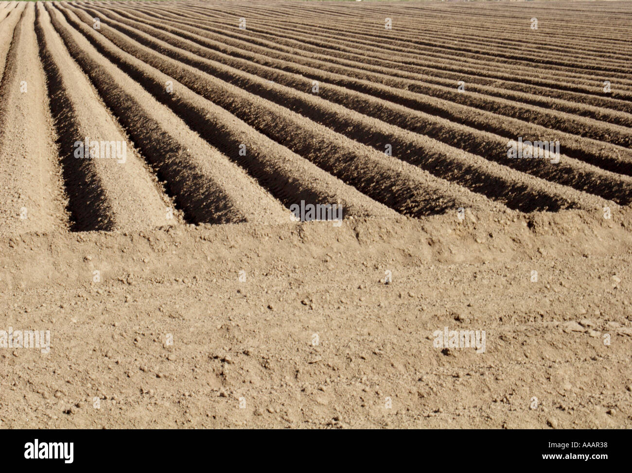 Campo Arato Spalding REGNO UNITO Foto Stock