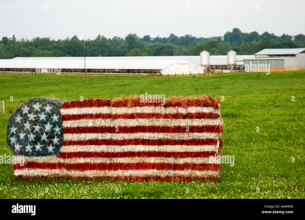 Noi bandiera fatta da balle di fieno vicino alla collina della roccia della Carolina del Sud e Stati Uniti d'America Foto Stock