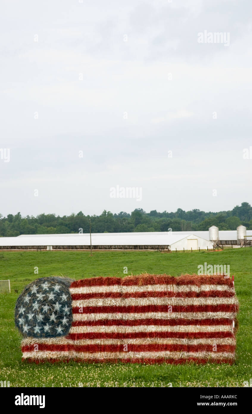 Esposizione patriottica di: Bandiera USA prodotta da balle di fieno vicino a Rock Hill, SC, USA Foto Stock