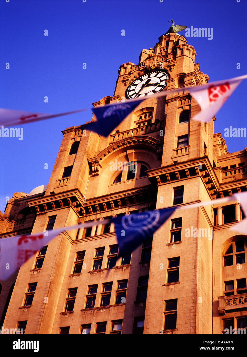 Liverpool Liver Building con 2008 Capitale della cultura bunting Foto Stock
