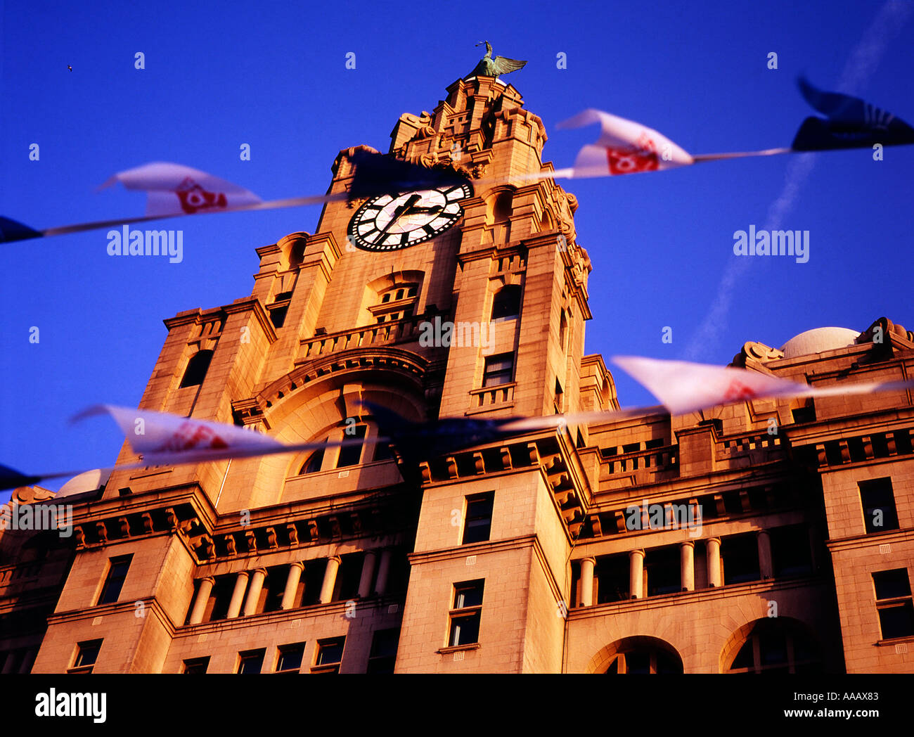 Liverpool Liver Building con 2008 Capitale della cultura bunting Foto Stock
