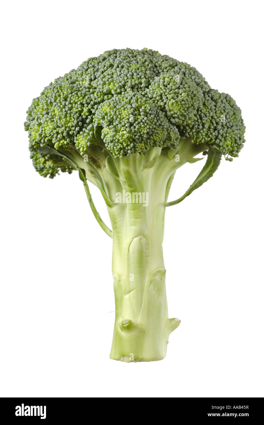 Broccolo Foto Stock