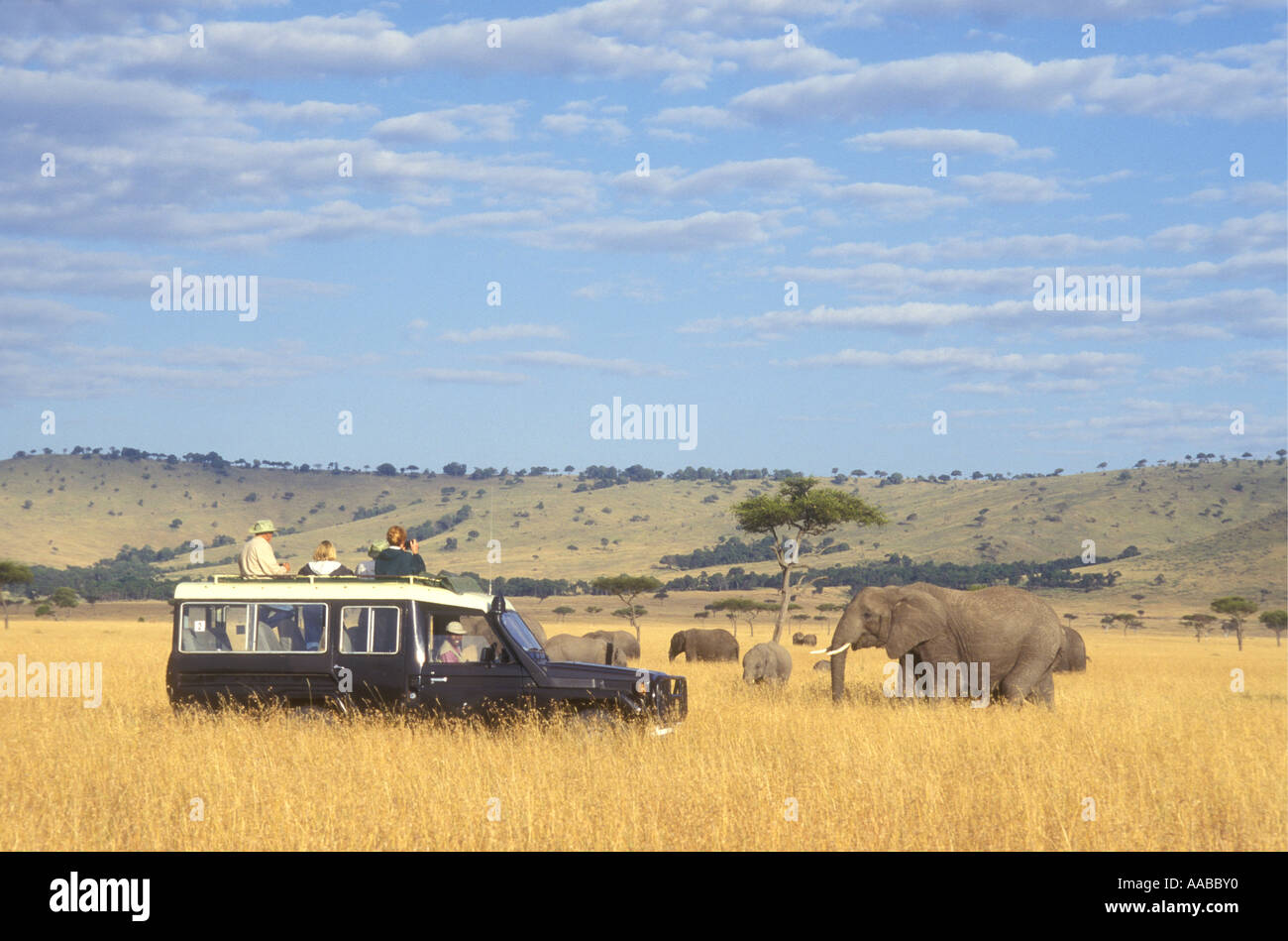 Gli elefanti vicino a Toyota Landcruiser Masai Mara riserva nazionale del Kenya Africa orientale Foto Stock