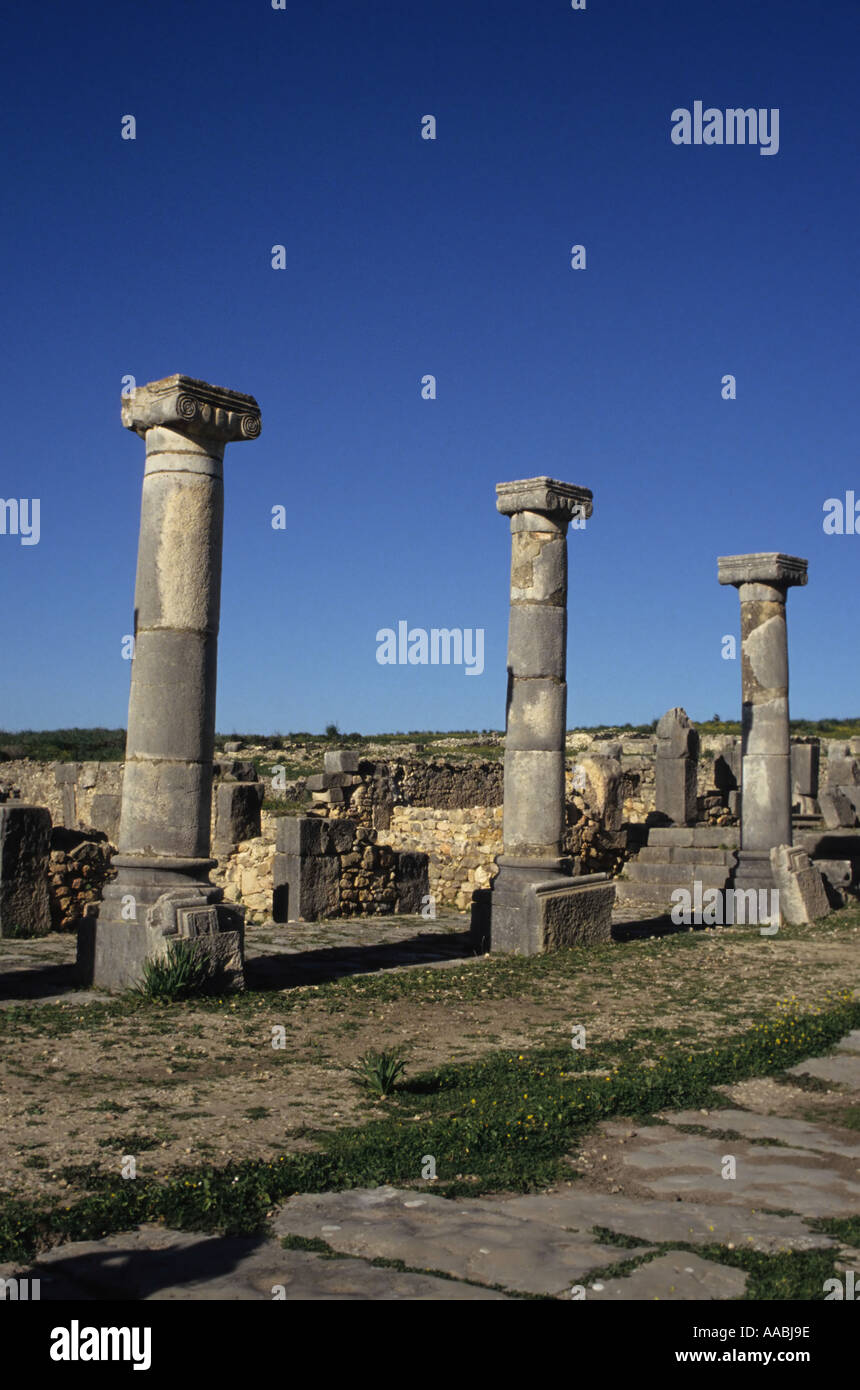 Le rovine romane di Volubilis vicino a Meknes Marocco Foto Stock