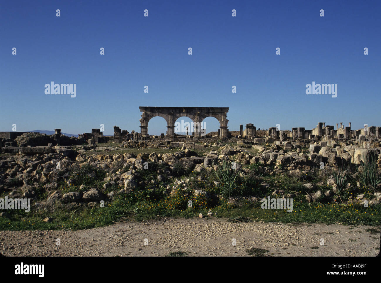 Le rovine romane di Volubilis Foto Stock