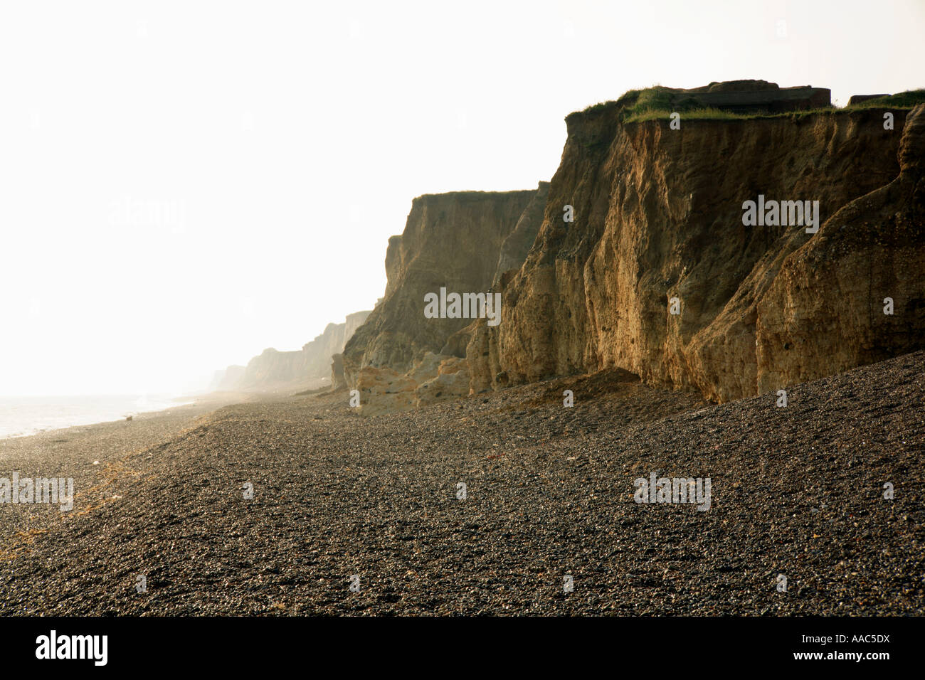 Una vista della spiaggia e scogliere in North Norfolk di mattina presto la luce a Weybourne, Norfolk, Inghilterra, Regno Unito, Europa. Foto Stock