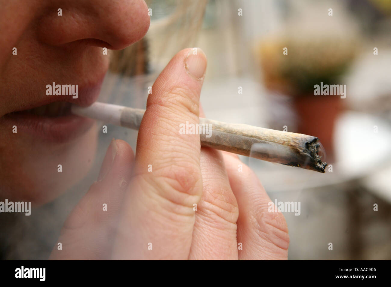 Giovane donna fumare marijuana in un coffee shop in Olanda Foto Stock