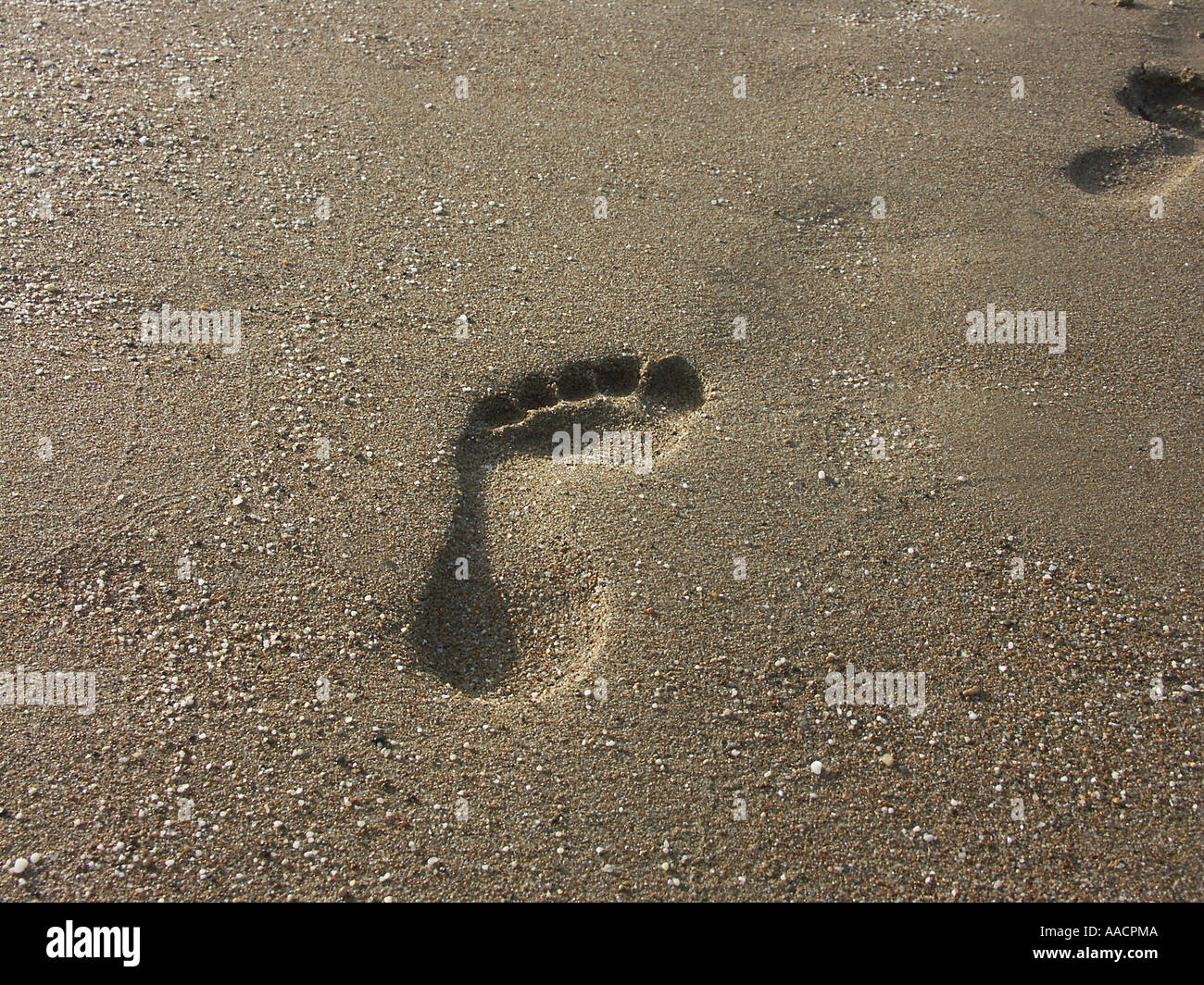 Orme nella sabbia Foto Stock