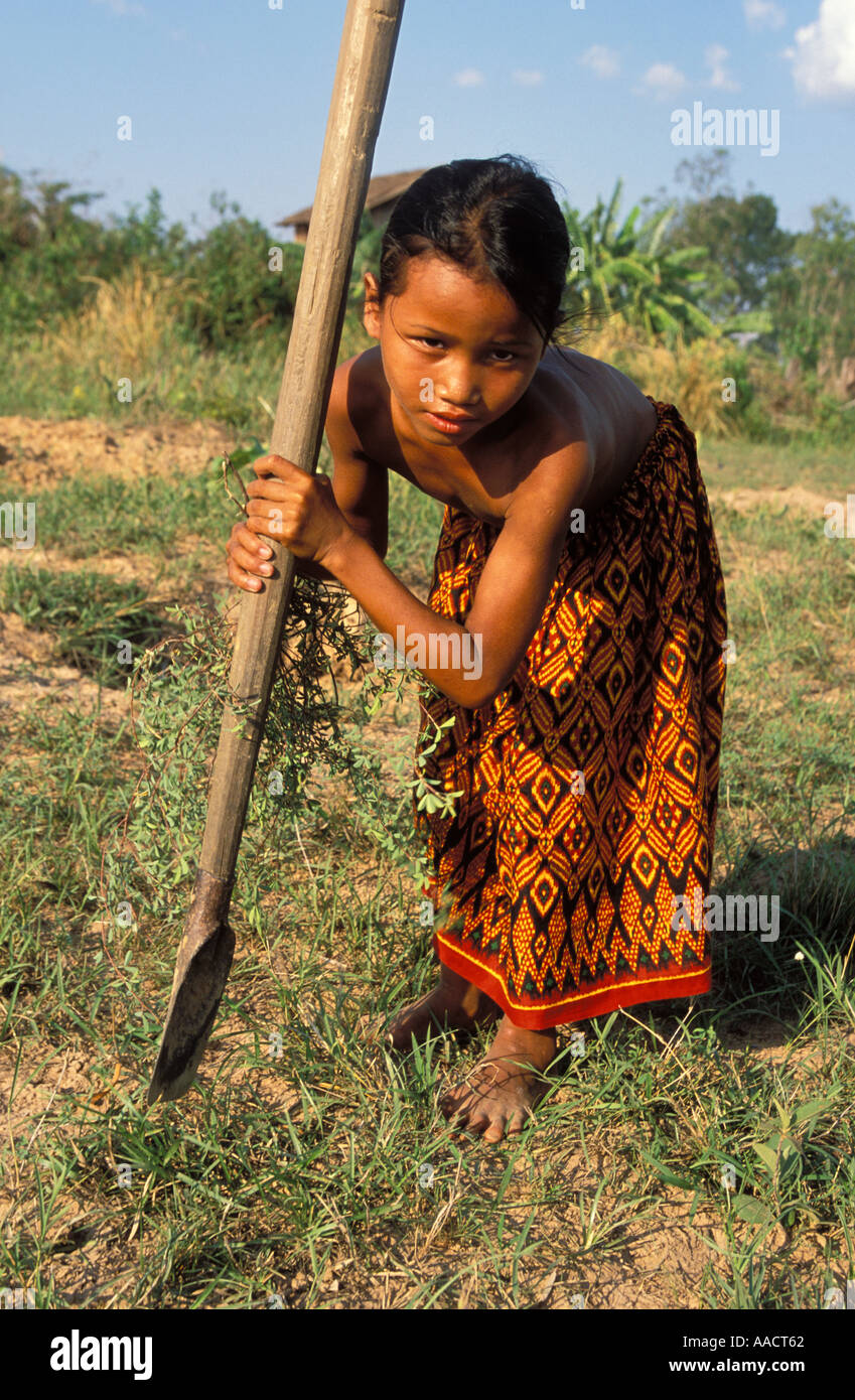 Cambogiano di giovane ragazza raccoglie erbe selvatiche crescente nei campi che è usato per il trattamento di diarrea Foto Stock