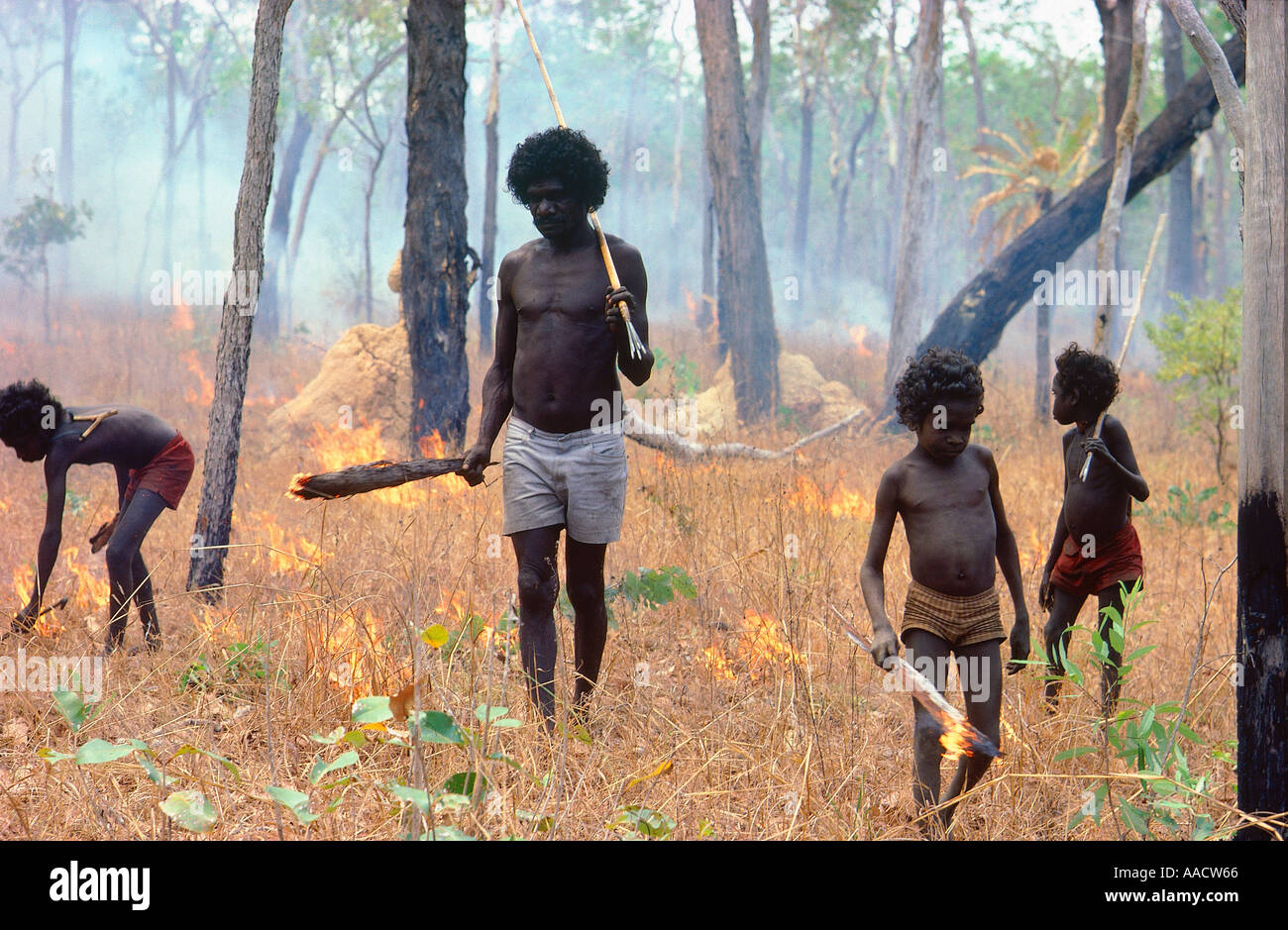 Aborigeni George Elder Milpurrurr mostra i suoi figli come fare un fuoco controllato per bruciare pericoloso erba secca Arnhemland Foto Stock