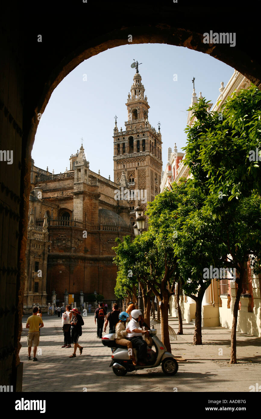 La cattedrale e la torre Giralda Siviglia Spagna Foto Stock