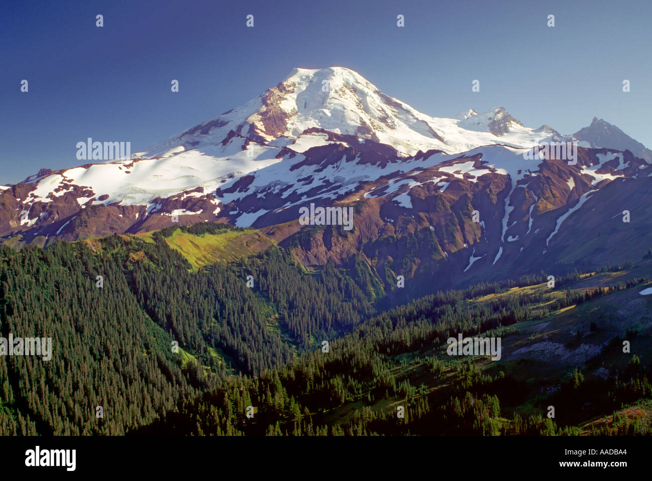Mt Baker Foto Stock