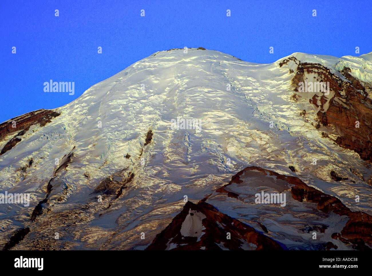 Mt Rainier e il Ghiacciaio Emmons Foto Stock