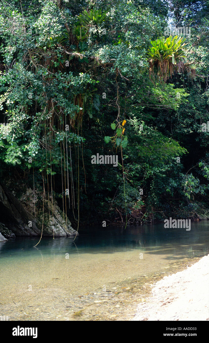 Spiaggia fiume spagnolo montagne blu della Giamaica Foto Stock