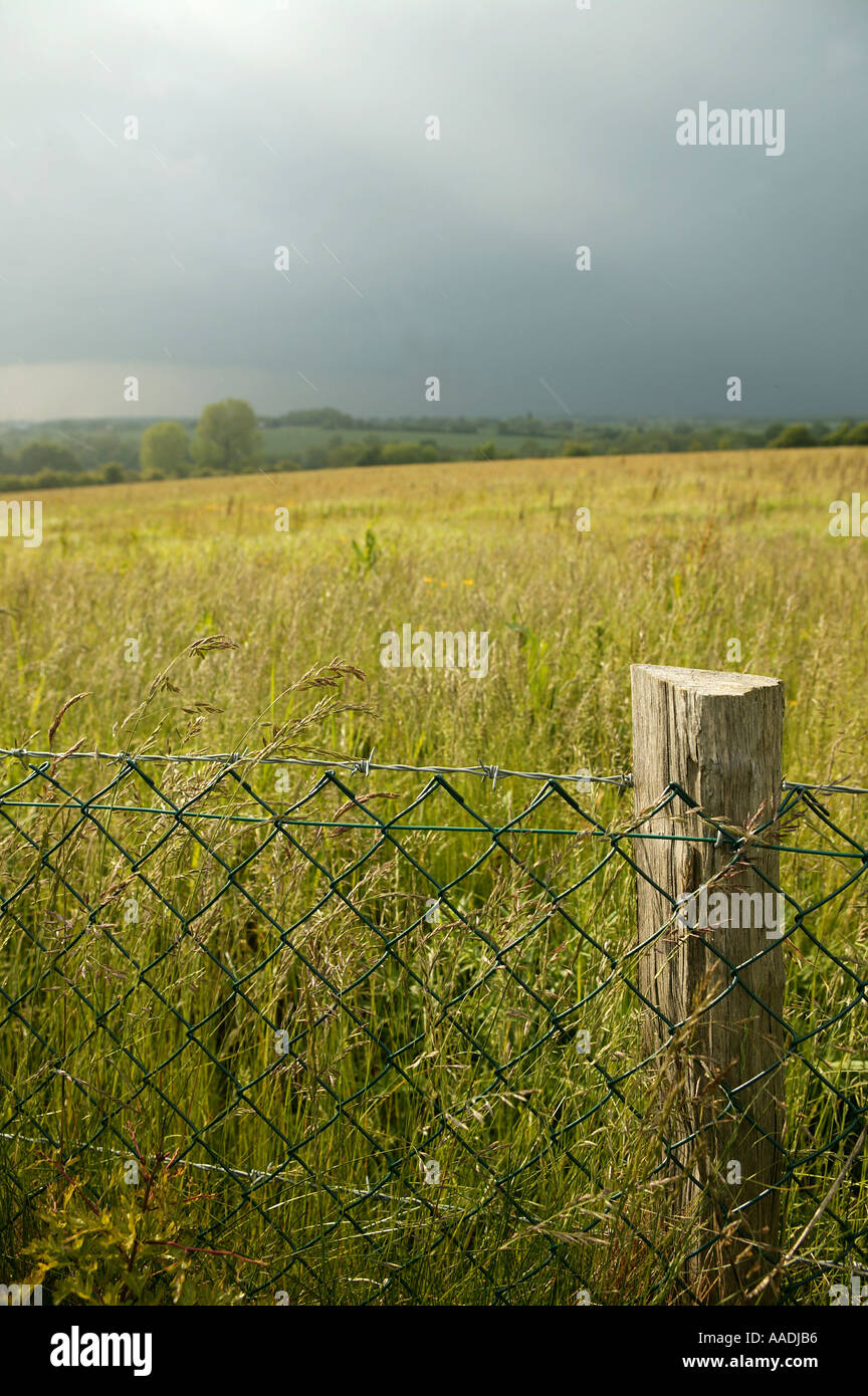 Filo spinato di fronte tempesta in avvicinamento in inglese il paesaggio agricolo Foto Stock