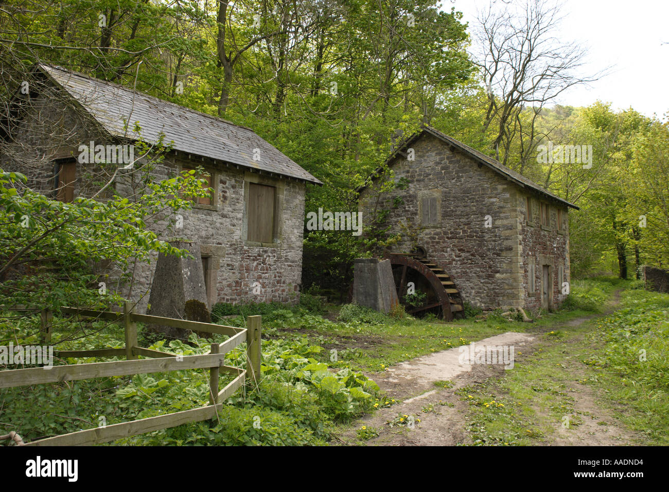 Il Bobbin Mill è un mulino ad acqua restaurato vicino ad Ashford in L'acqua Regno Unito Foto Stock